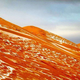 Snow melting in the Sahara.
